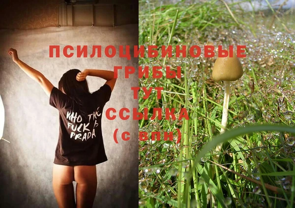 PSILOCYBIN Зерноград